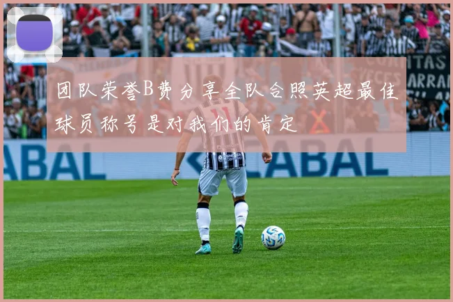 团队荣誉B费分享全队合照英超最佳球员称号是对我们的肯定