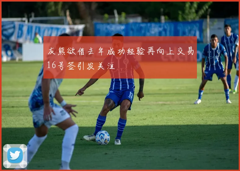 灰熊欲借去年成功经验再向上交易16号签引发关注